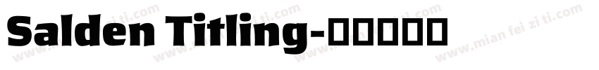 Salden Titling字体转换
